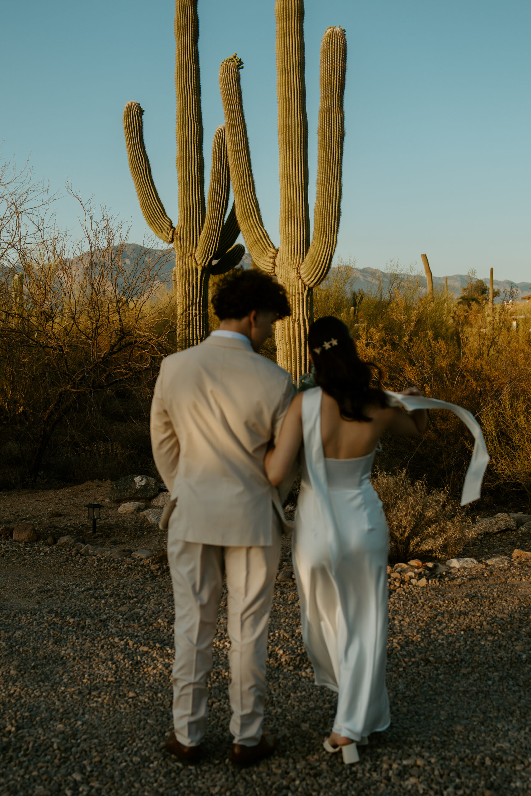 Sunset portraits of couple in backyard wedding — romantic Tucson wedding photography